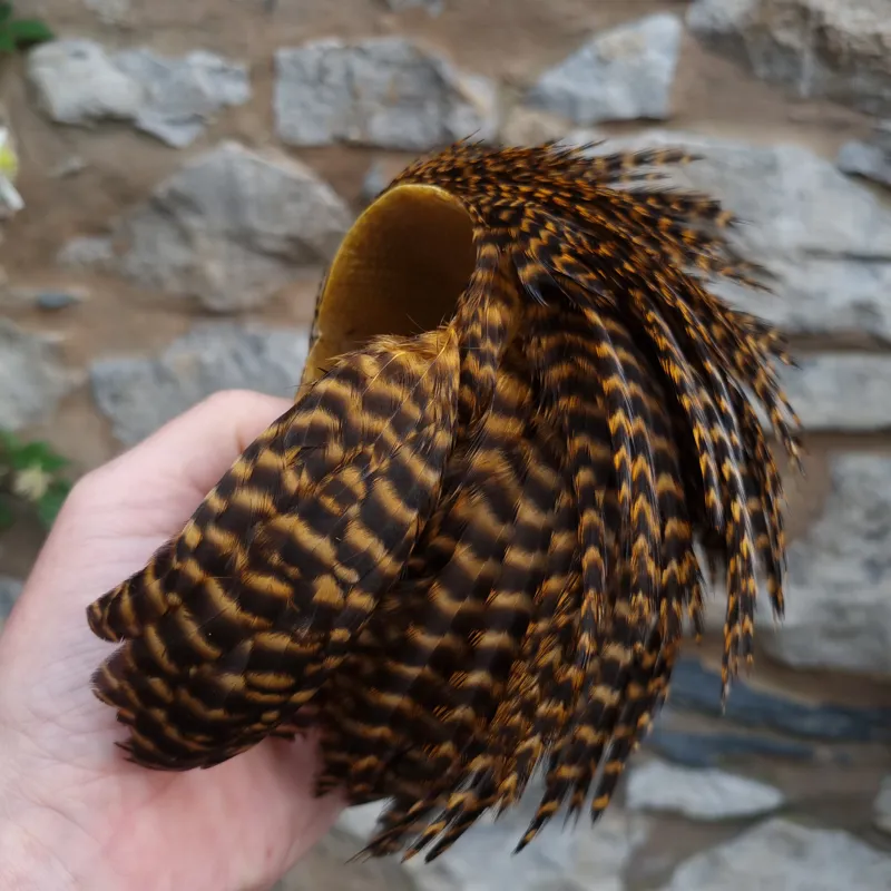 Whiting Exclusive Grizzly Hen Cape in Ginger-4